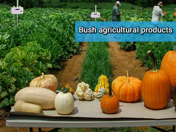 Bush agricultural products