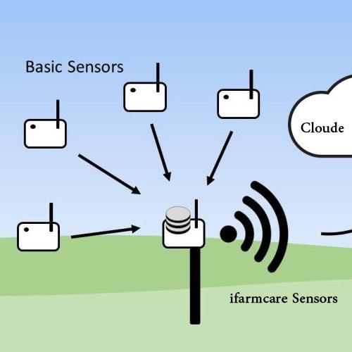 Agricultural sensors