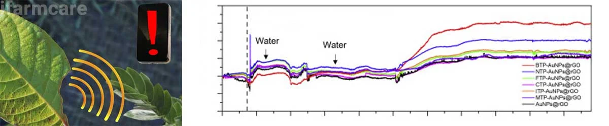 Reale Time Monitoring