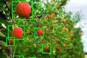 Machine vision in agriculture